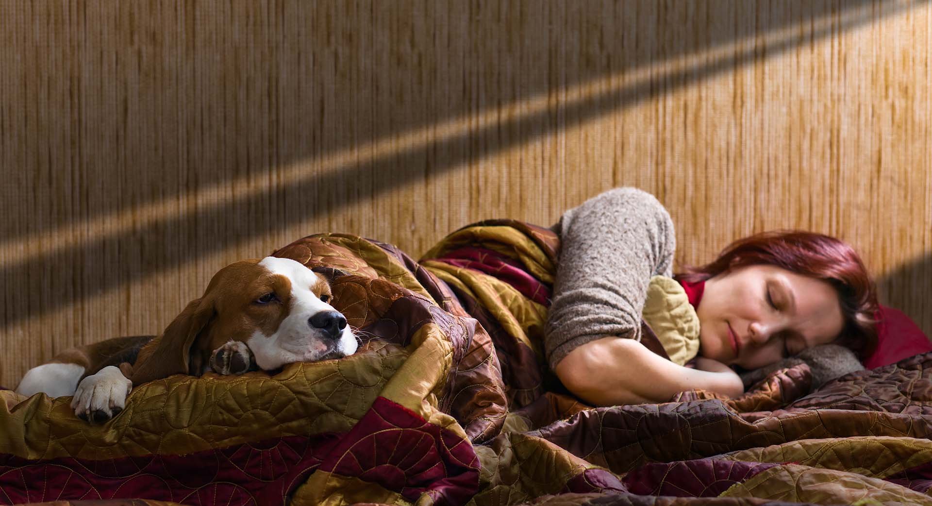 Sovande kvinna i sin säng med hund vid sin sida